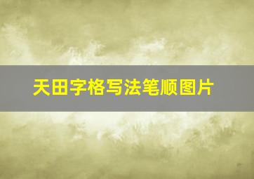 天田字格写法笔顺图片