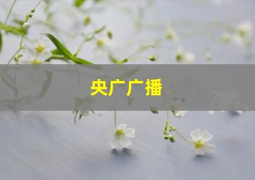 央广广播