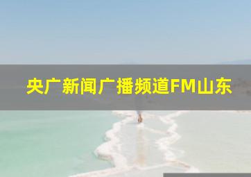 央广新闻广播频道FM山东