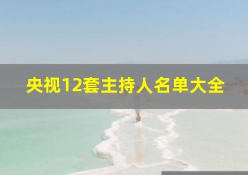 央视12套主持人名单大全