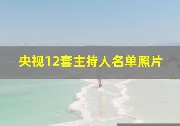 央视12套主持人名单照片