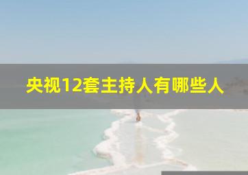 央视12套主持人有哪些人