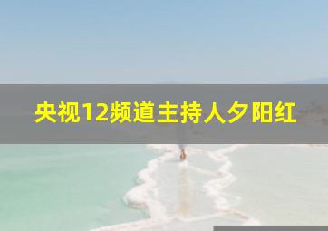 央视12频道主持人夕阳红