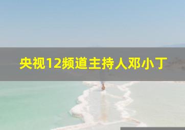 央视12频道主持人邓小丁