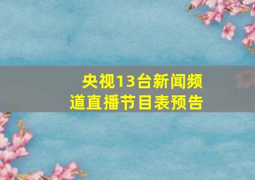 央视13台新闻频道直播节目表预告