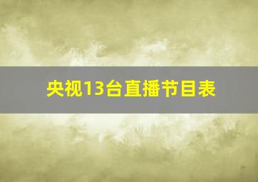 央视13台直播节目表