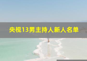 央视13男主持人新人名单