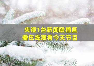 央视1台新闻联播直播在线观看今天节目