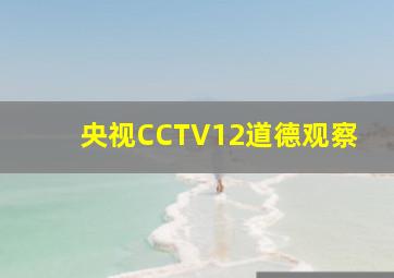 央视CCTV12道德观察