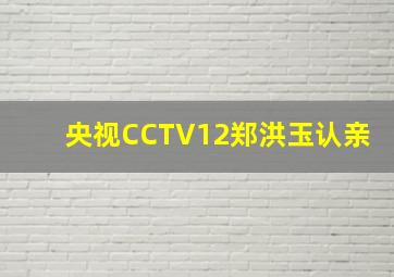 央视CCTV12郑洪玉认亲