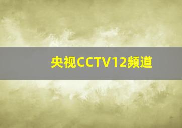 央视CCTV12频道