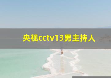 央视cctv13男主持人