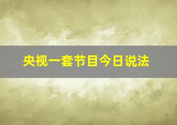 央视一套节目今日说法