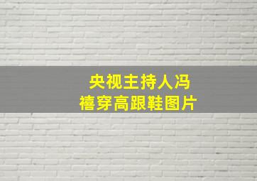 央视主持人冯禧穿高跟鞋图片