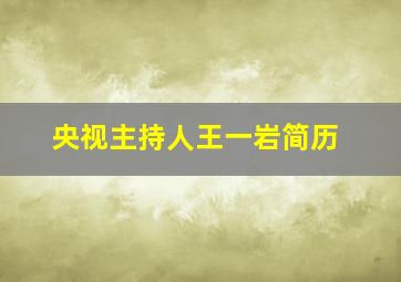 央视主持人王一岩简历