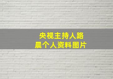 央视主持人路晨个人资料图片