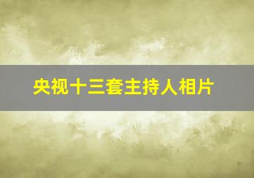 央视十三套主持人相片