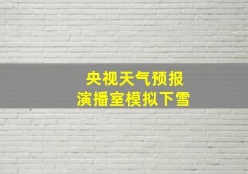 央视天气预报演播室模拟下雪