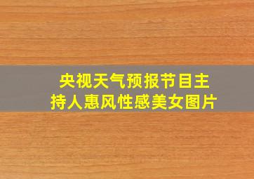 央视天气预报节目主持人惠风性感美女图片