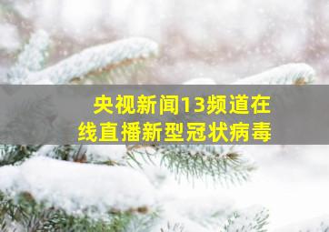 央视新闻13频道在线直播新型冠状病毒