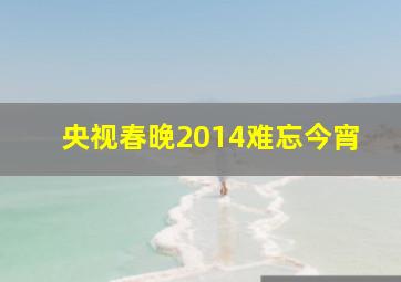 央视春晚2014难忘今宵