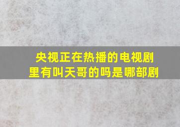 央视正在热播的电视剧里有叫天哥的吗是哪部剧