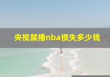 央视禁播nba损失多少钱