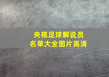 央视足球解说员名单大全图片高清