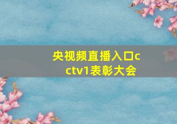 央视频直播入口cctv1表彰大会