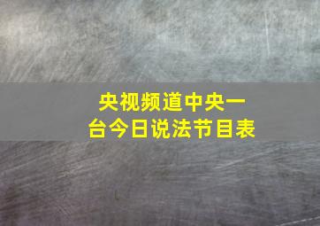 央视频道中央一台今日说法节目表