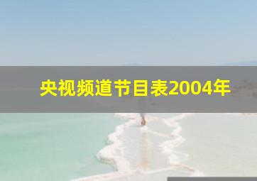 央视频道节目表2004年