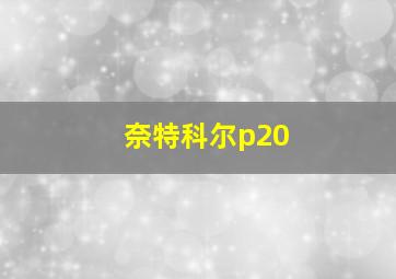 奈特科尔p20