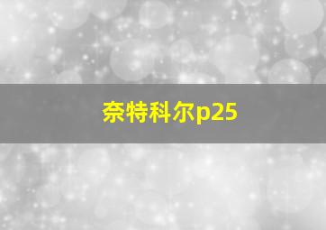 奈特科尔p25