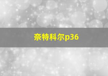 奈特科尔p36