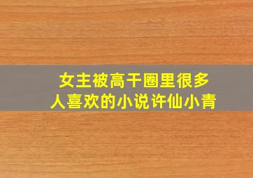 女主被高干圈里很多人喜欢的小说许仙小青