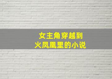 女主角穿越到火凤凰里的小说