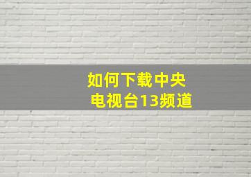 如何下载中央电视台13频道