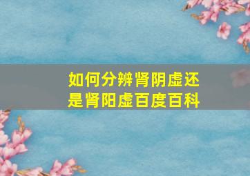 如何分辨肾阴虚还是肾阳虚百度百科