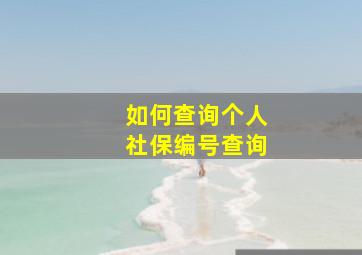 如何查询个人社保编号查询