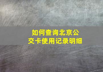 如何查询北京公交卡使用记录明细