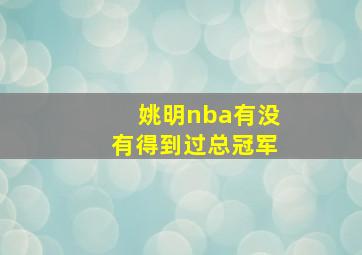 姚明nba有没有得到过总冠军