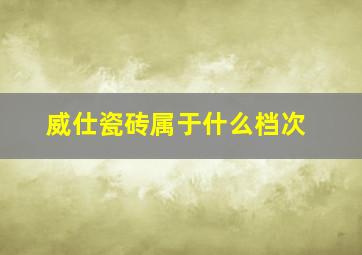 威仕瓷砖属于什么档次