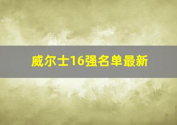 威尔士16强名单最新