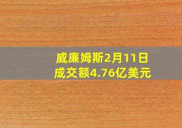 威廉姆斯2月11日成交额4.76亿美元