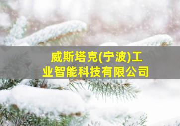 威斯塔克(宁波)工业智能科技有限公司