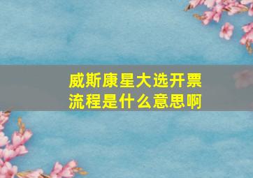 威斯康星大选开票流程是什么意思啊