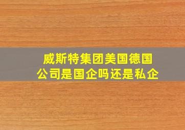 威斯特集团美国德国公司是国企吗还是私企