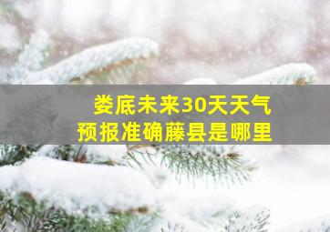 娄底未来30天天气预报准确藤县是哪里