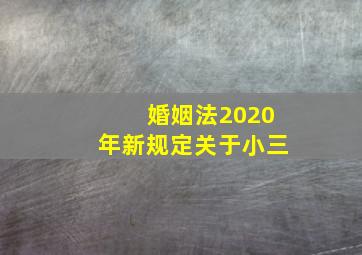 婚姻法2020年新规定关于小三