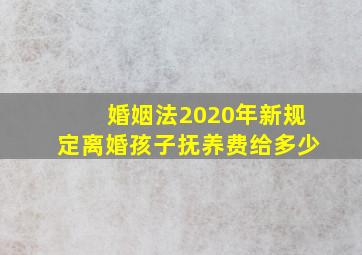 婚姻法2020年新规定离婚孩子抚养费给多少